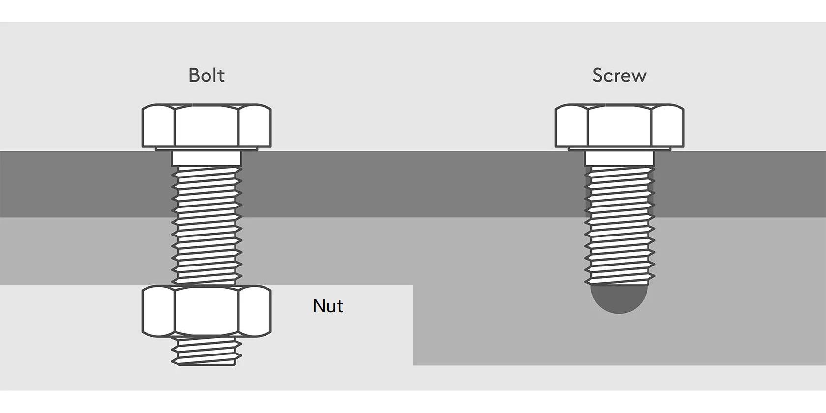 Nut vs Bolt