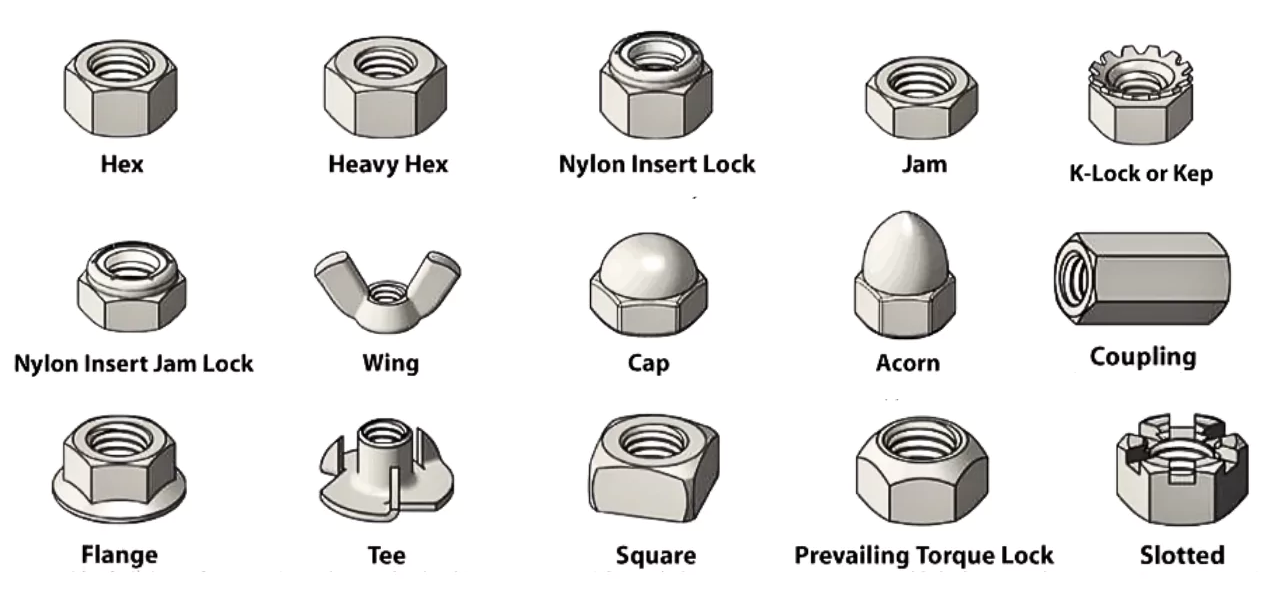 Common Types of Nuts