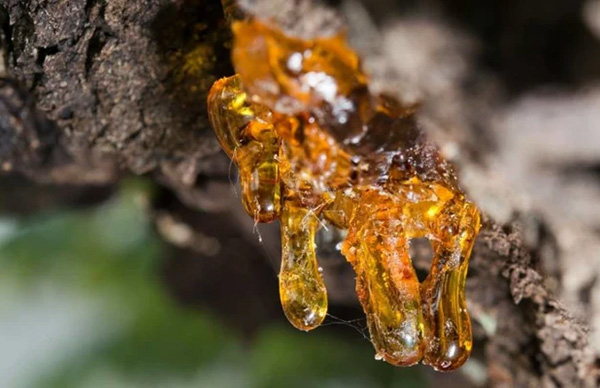 nature resin